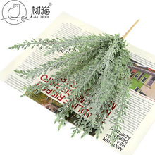 ��؈����̰��~ֲ�������ϼ��~��С���ԾGֲ�Ҿ��b�ˇ�[��