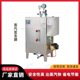 蒸汽发生器;软化水设备;整熨设备