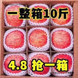 �崨�t��ʿ�O�����r����ˮ�������Ĵ���10��������]