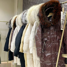 2025�������L���^ϥ�Bñ����ë�I�P�ۼӺ��ɰ����q����