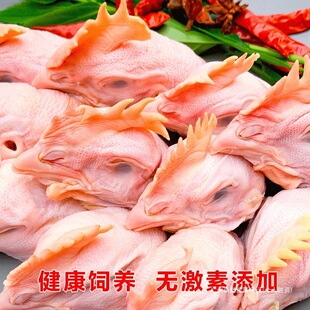 ���r�u�^5��������������u�^���u�^���r�ك��u�^�u���ָ�Ʒ����