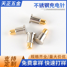 316P䓳ܴÏ303P䓳ᘳ늏