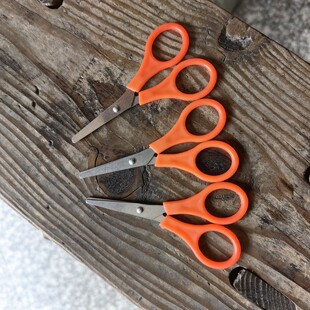 ���l����С����ᘾ��p�x���С����ᘾ�����ᘾ����������