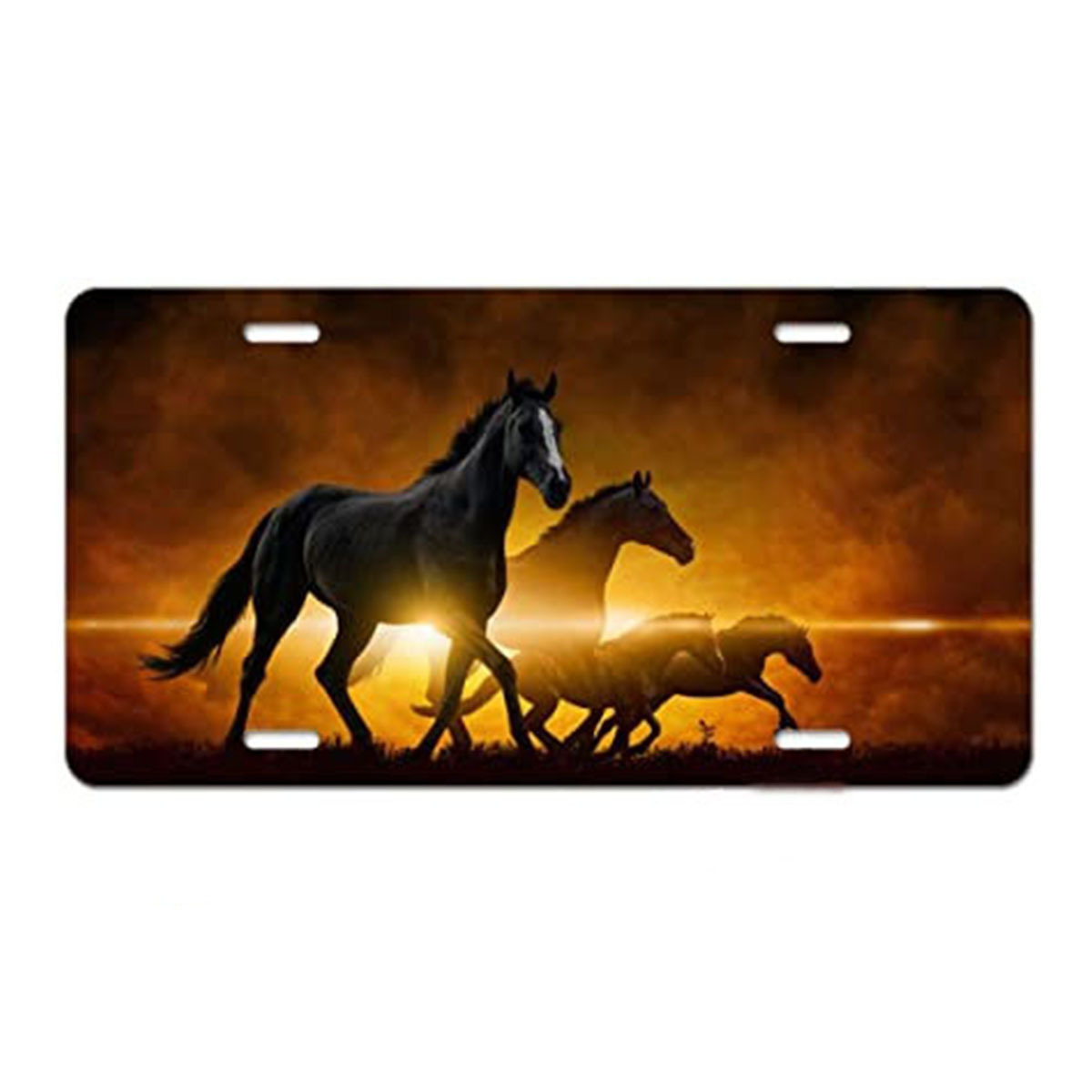 10 (비재고 금액은 이유없는 반품을 지원하지 않습니다)