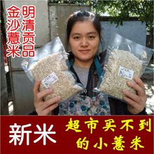 金沙薏米福建仙游原产地小薏仁米新货苡仁小薏米仁小粒材
