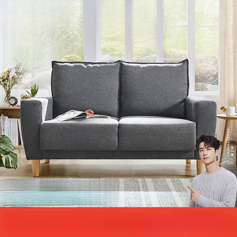 林氏家居公寓布艺沙发客厅单双人小沙发出租房懒人小户型林氏木业