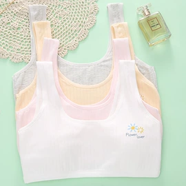 少女文胸;裹胸、抹胸;女士三角裤