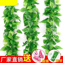 lüٻb{ˮܵٗlړ~G}bGֲ