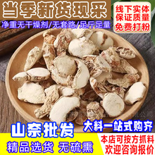 ɳ�������{��ɰ��Ƭɽ����ș�ďV�|ɳ����Ƭ�o��ɳ����؛�����l