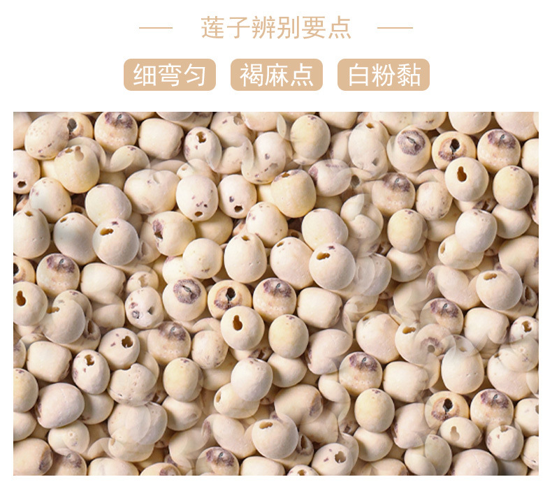 Lotus Seed (Nelumbo nucifera) — Hunan White Lotus Seeds, Core-Removed, Sulfur-Free, 500g quality and texture