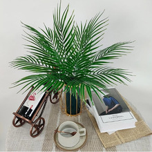 ����Gɫ�~�� ɢβ���ؙ��~��֦�~��c�����b�� ɭϵ���~�bGֲ