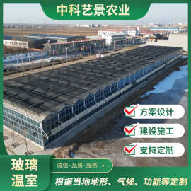 玻璃大棚温室工程承建棚内光照均匀配置可按需选择 玻璃连栋温室
