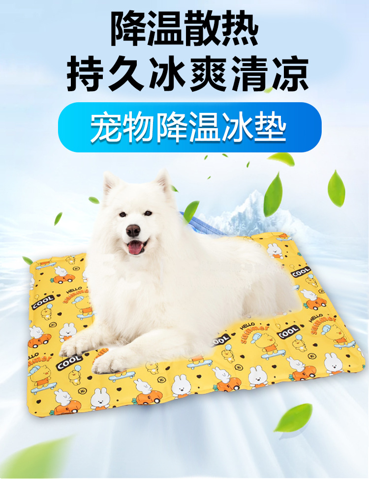 2020新宠垫描述1_03