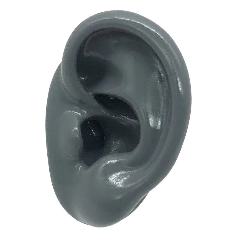 Simulación modelo de oído de silicona oído recogiendo auriculares de enseñanza soporte de exhibición de audífonos práctica modelo de acupuntura exhibición de la joyería