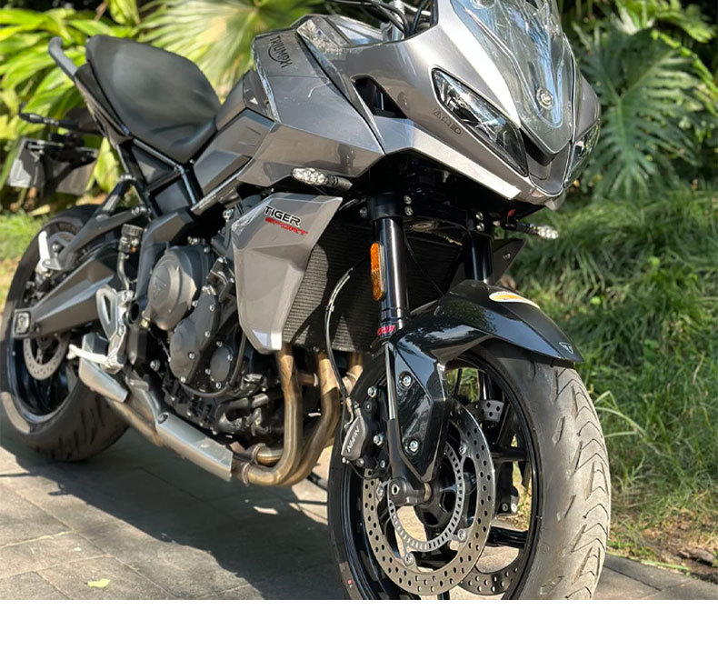 Suitable for Triumph Tiger Tiger Sport 660 Modified Engine Water Tank Net Protective Net Protective Cover Accessories