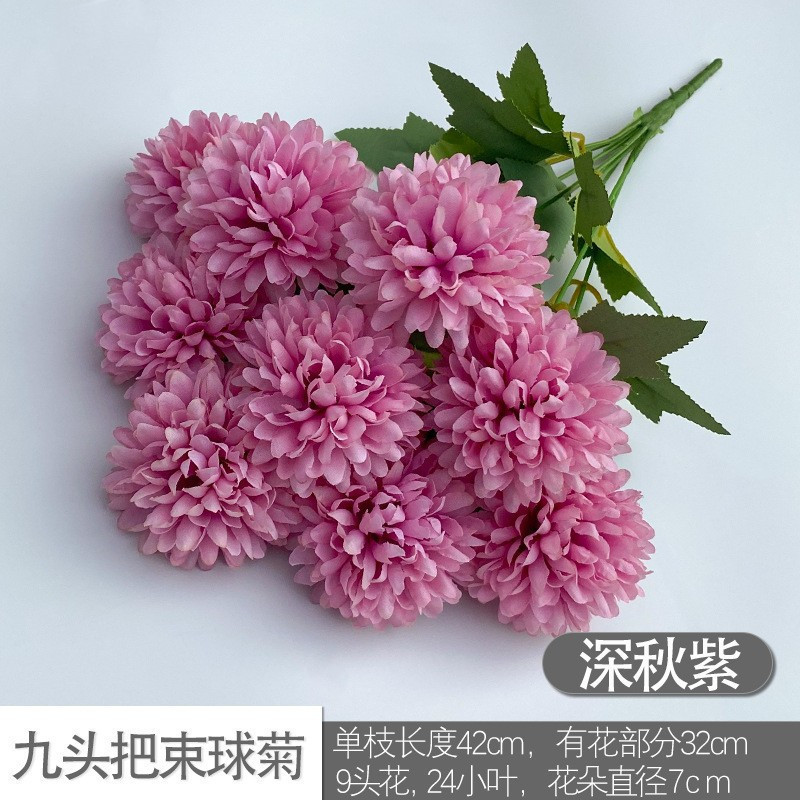 Nine -headed ball chrysanthemum late autumn purple