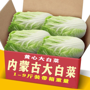 ���ɹ����r��ײ�С�ײ�С��˿������ײ���˰��Ĳ��S�Ĳ˱��^��