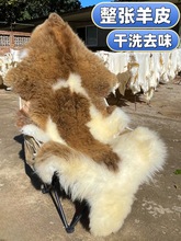 整张羊皮毛一体羊毛地毯花色真羊皮室内户地毯客厅卧室飘窗座椅&