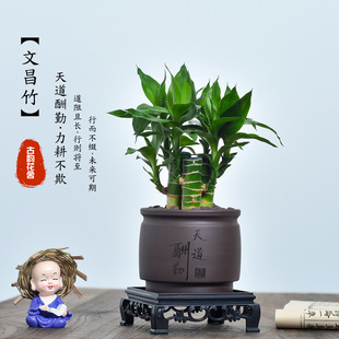 �Ĳ�����֧���F�񎧸��Gֲ�҃�����Gֲ�����՚ⷀ���辰����