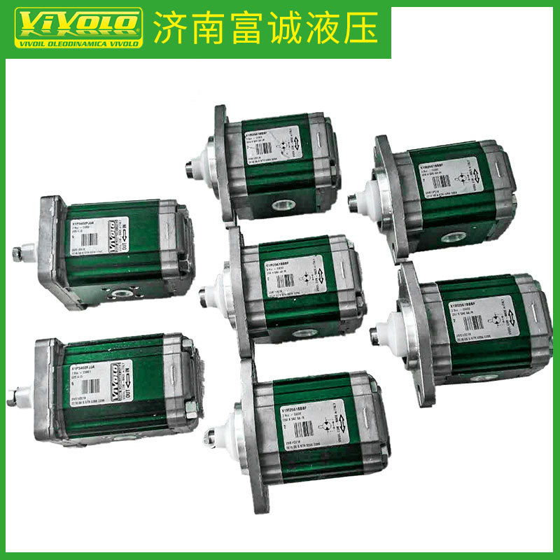 意大利VIVOLO代理供应X1P2102FJJA 齿轮泵VIVOIL现货供应液压泵