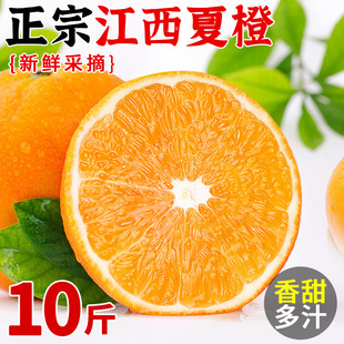 �����ĳȳ������r10���������r���M��ˮ���ք������������Ě��