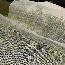 ��ˇ�������eĿ���{÷�鲼���y���R��������ñ����鼆��