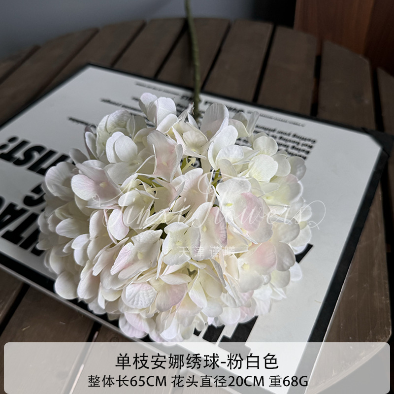 핑크 화이트