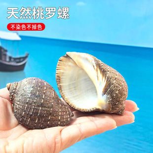 ��Ȼ����ؐ����ؐ�~�ľ�з��Q���~��ˮ���쾰�˱����ղغ���