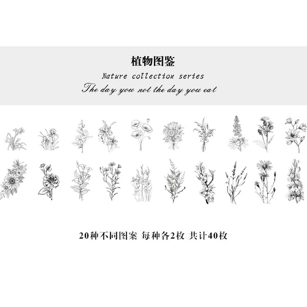 Plants
