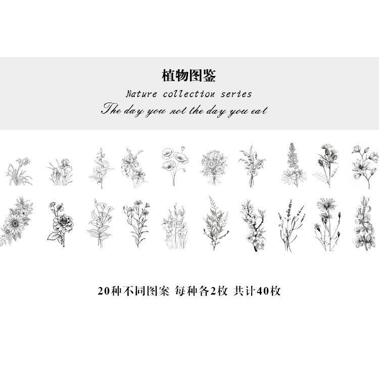 Natural photo collection window series PET handbook post paper bag creative plant DIY decorative post 12 models