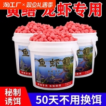 �S�X�T�D���r�D���X�~���q���r�r���r�\�~�r�O�W�\�~�D�w���~�W