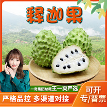 �����x���V����ȹ� 3����^����Ŵ�����P�����r����֦����ˮ��