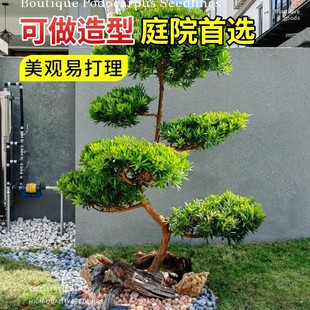 �_�h�ɘ����辰С�~ȸ������ͥԺ���Ե��Դ�����͘䘶���F�G����