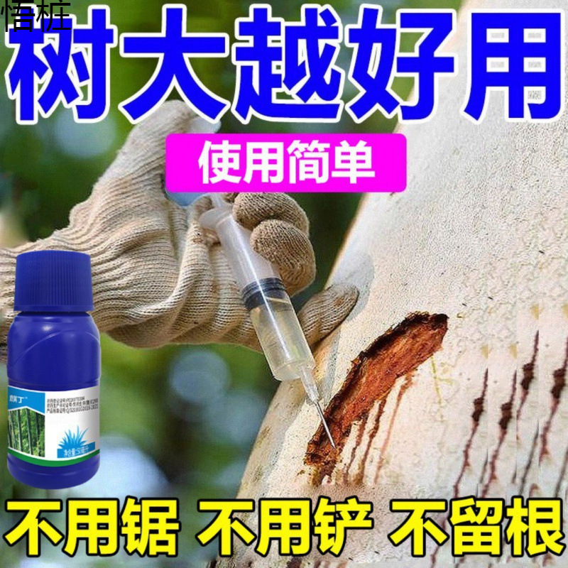 四季通用の荒涼とした喬木のつるの木の雑多な針が倒れて荒涼としています。|undefined
