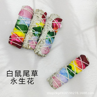 �S�����l��������White Sage����β��������ɫ��