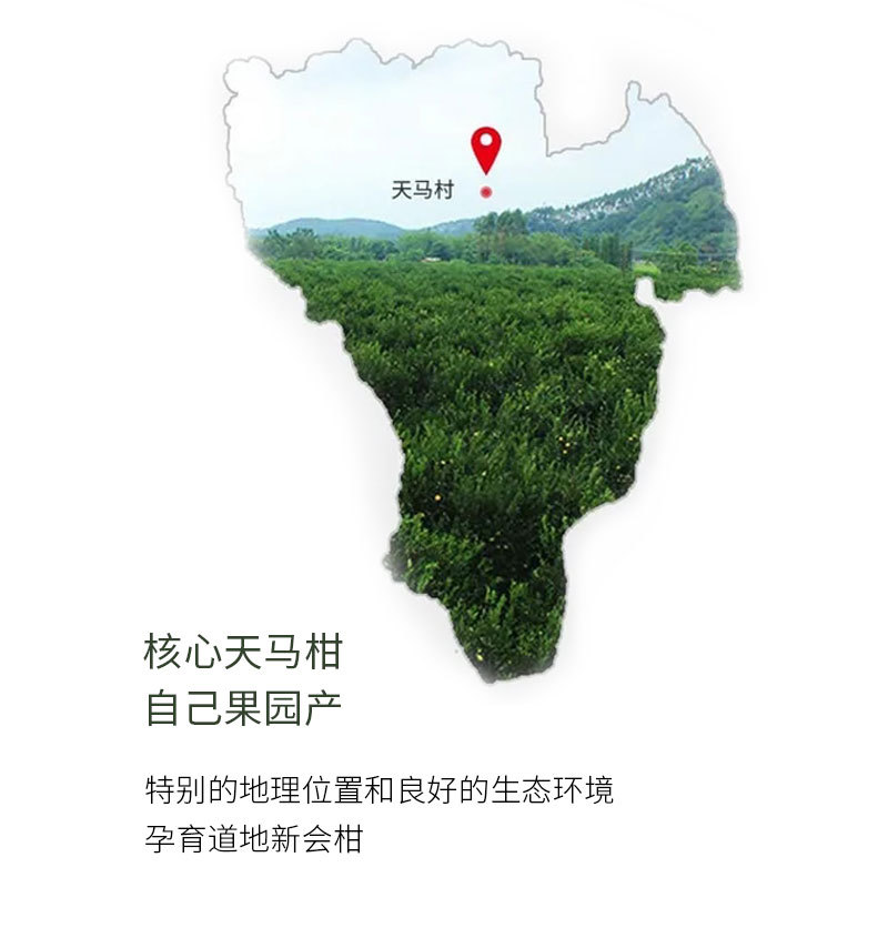 阿里陈皮情页模板_05