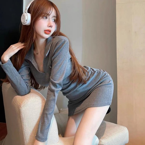 Autumn/Winter Polo Collar Slim Knit Long Sleeve Sexy A-Line Pleated Dress for Women Petite and Elegant