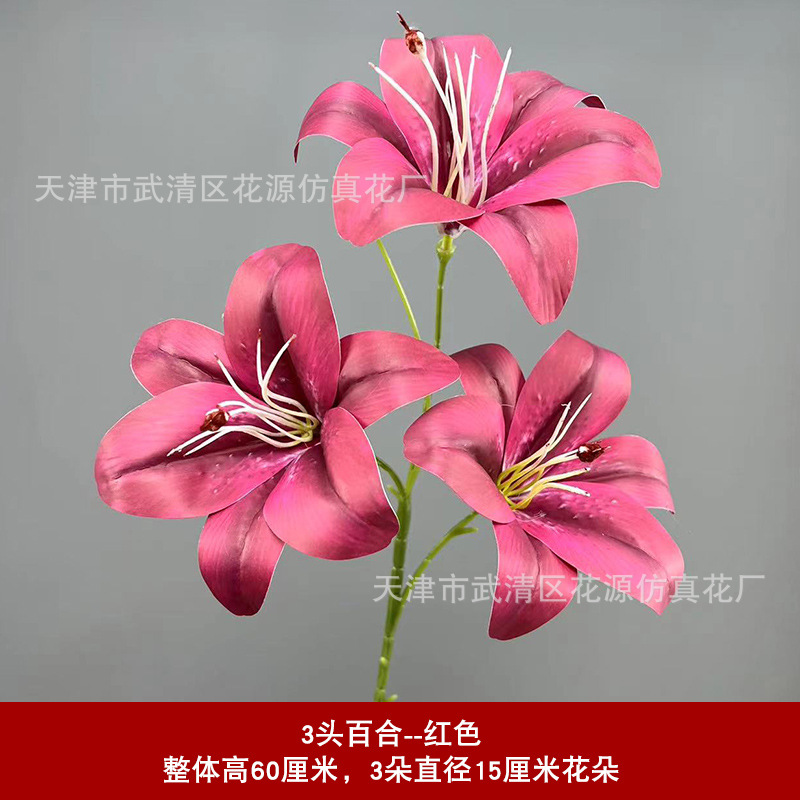 버건디