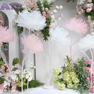 ��̖���w������Y���È������滨ĵ���z�W��������ش��b[��