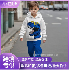 独立站亚马逊希音跨境2025男童卡通3D印花连帽卫衣套装卡通印花