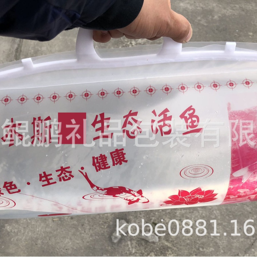 黑龙江鲤鱼黑河嫩江内蒙古鄂尔多斯活鱼充氧气袋鲟鱼活鱼袋包装盒