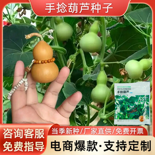 С�������J�N��ͥԺ�̨����ֲ��N�������ļ��Nֲ�҃ȾGɫ���J��