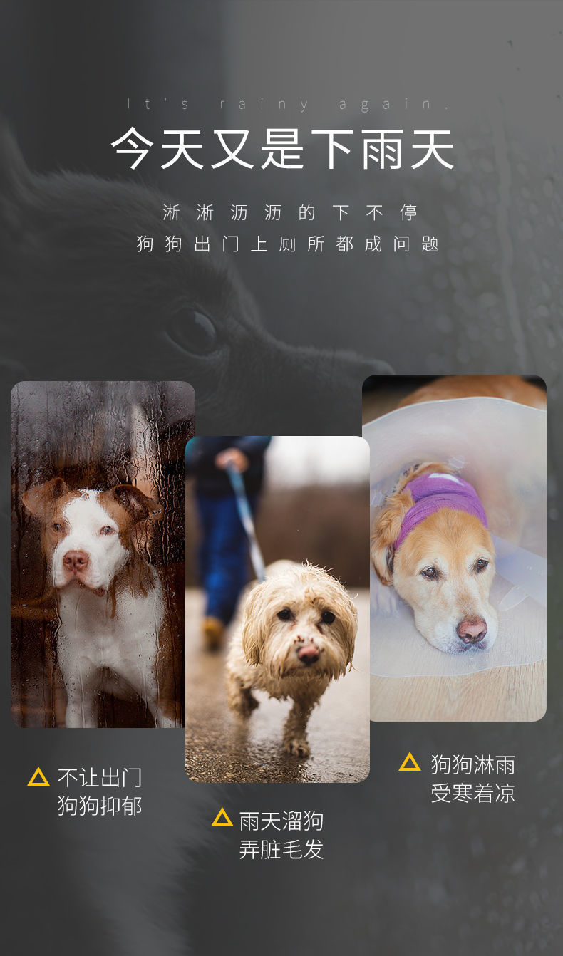 d59bb6eb-82d6-420e-9c04-0257ebd7788d.jpe