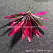 �羳�������ľ��Ѫ���콶�Gֲ���҃��쾰��ײ������P��ˇ�b�