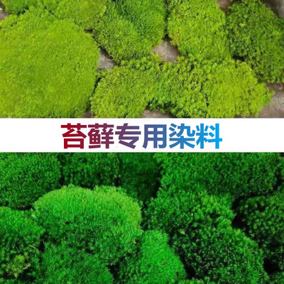 苔藓染料堿性染料永生苔藓染料幹花染料藤條染料幹草染料