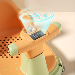 Baby Bath Seat, Infant Bathing Essentials, Sit and Lie Support, Newborn Bath Bench, Non-Slip Bath Chair