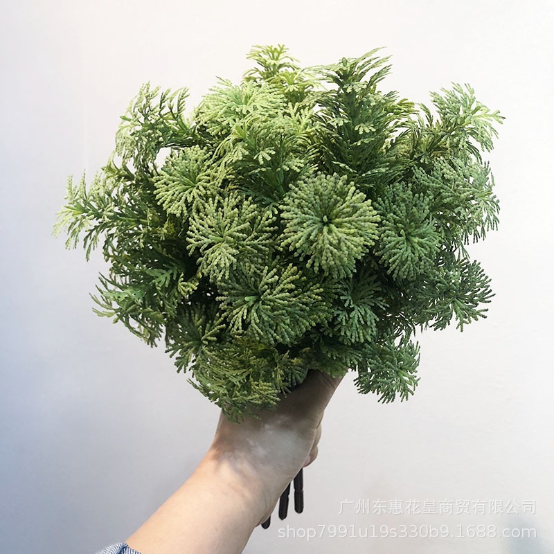 仿真松草 植物背景墙绿家居装饰婚庆道具塑料水草园林造景毛松草