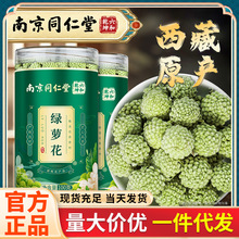 南京同仁堂 绿萝花 又称野雪丽花茶西藏原产绿萝花罐装批发100g