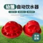 定制自动补水养鸡饮水器