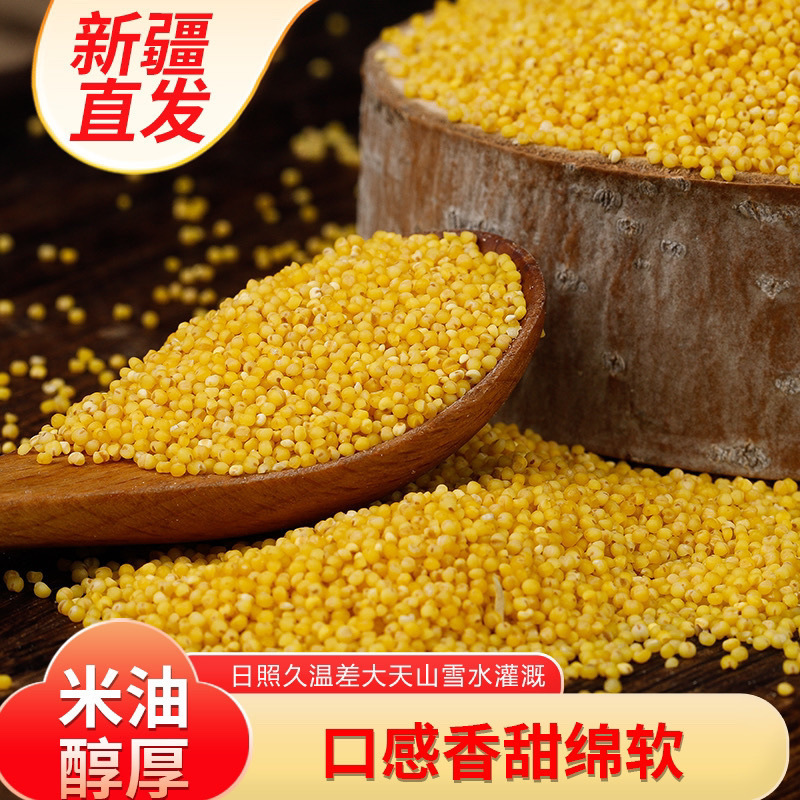 新疆特产沙漠小米5斤醇厚香甜含硒养胃月子米醇厚香甜长寿之乡新|undefined